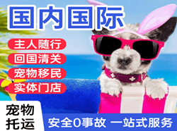青岛胶东机场快运国际宠物托运 【国